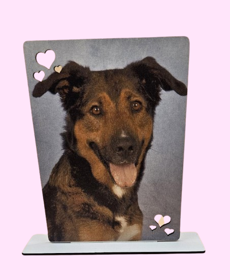 Fotoframe kleine hartjes